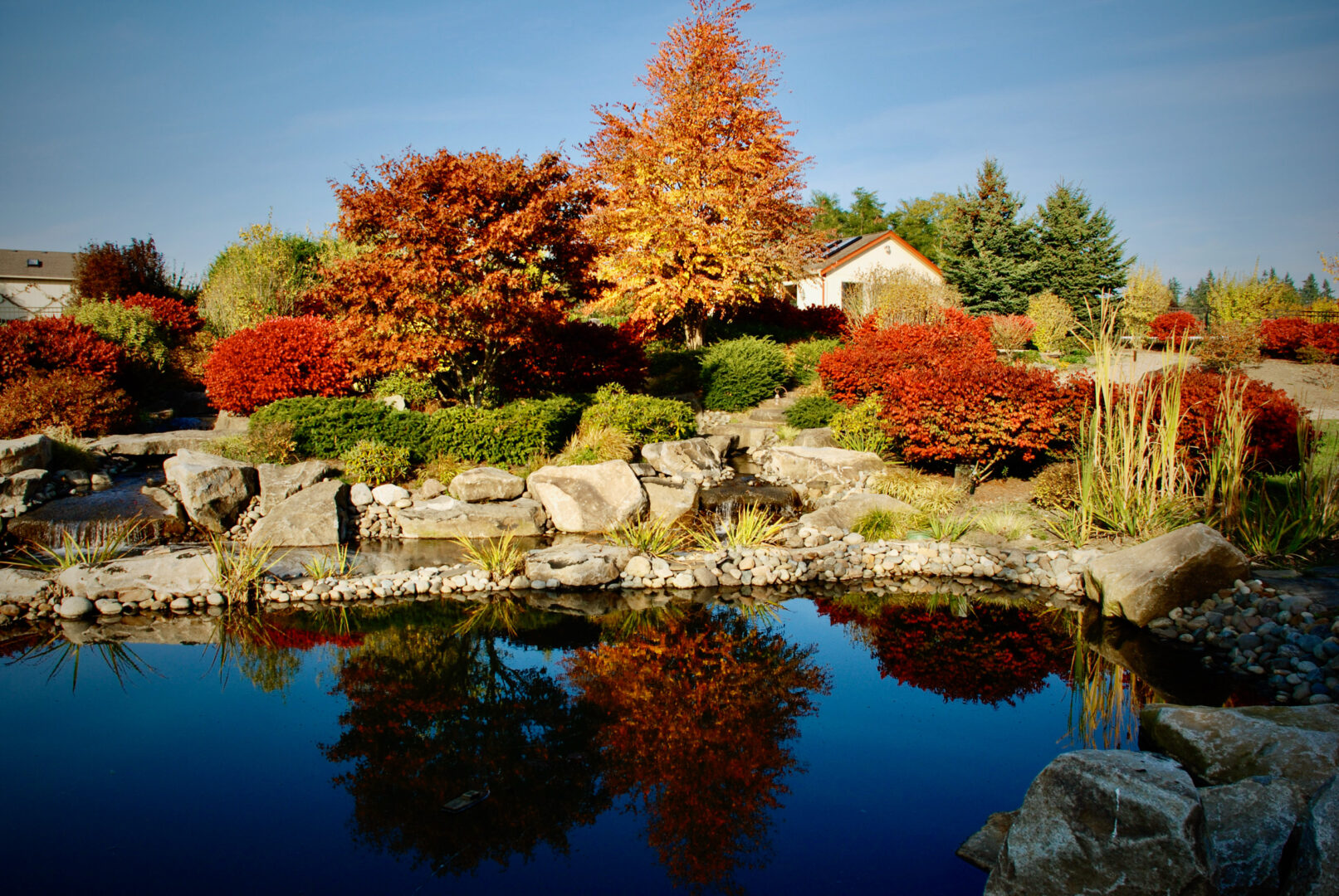 Photo of Rainier Pond, your photographer will love this!