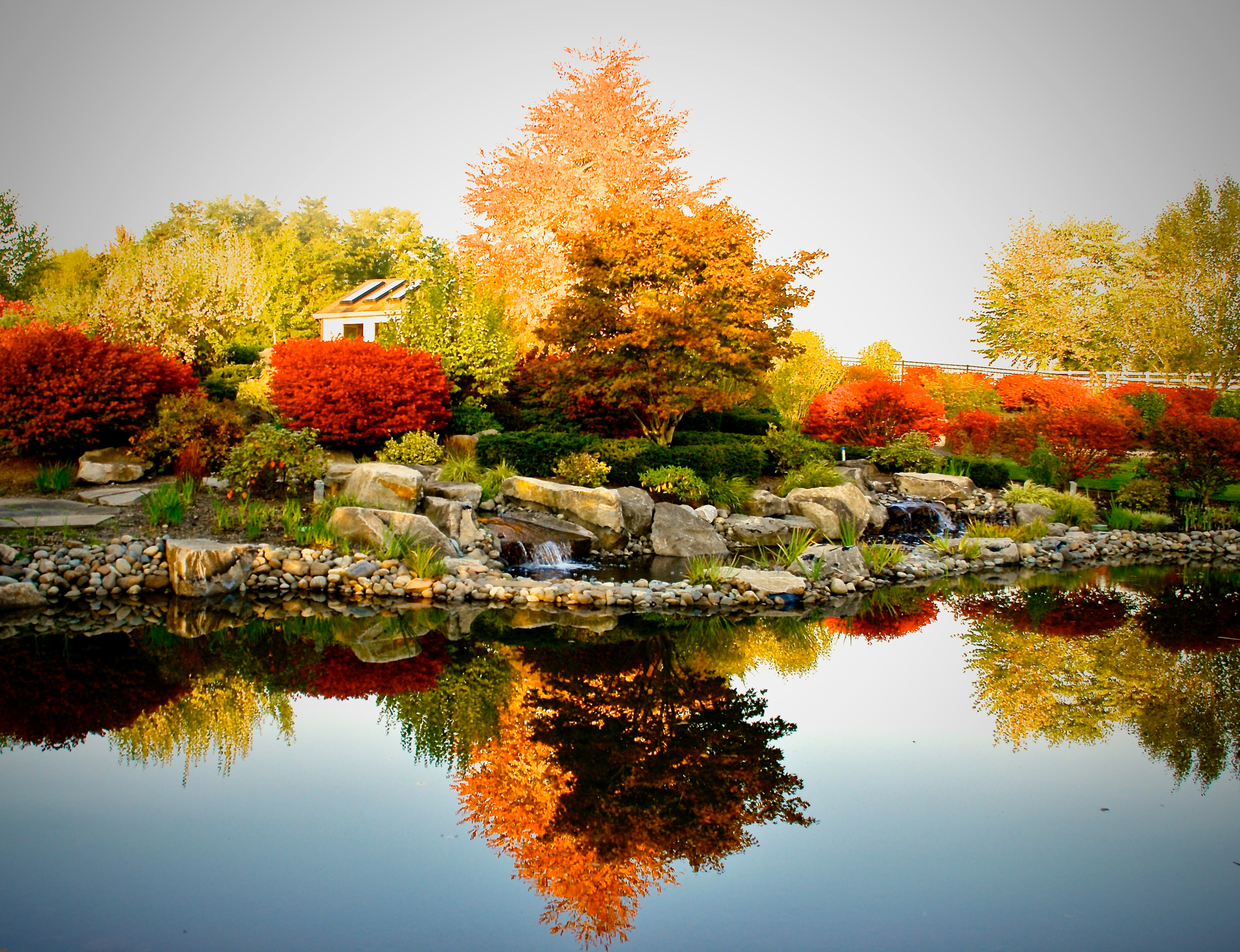 Photo of Pond in the Fall, Reserve Our Gardens