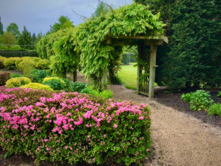 Photo of Wisteria Arbor. Here is a list of our rates.