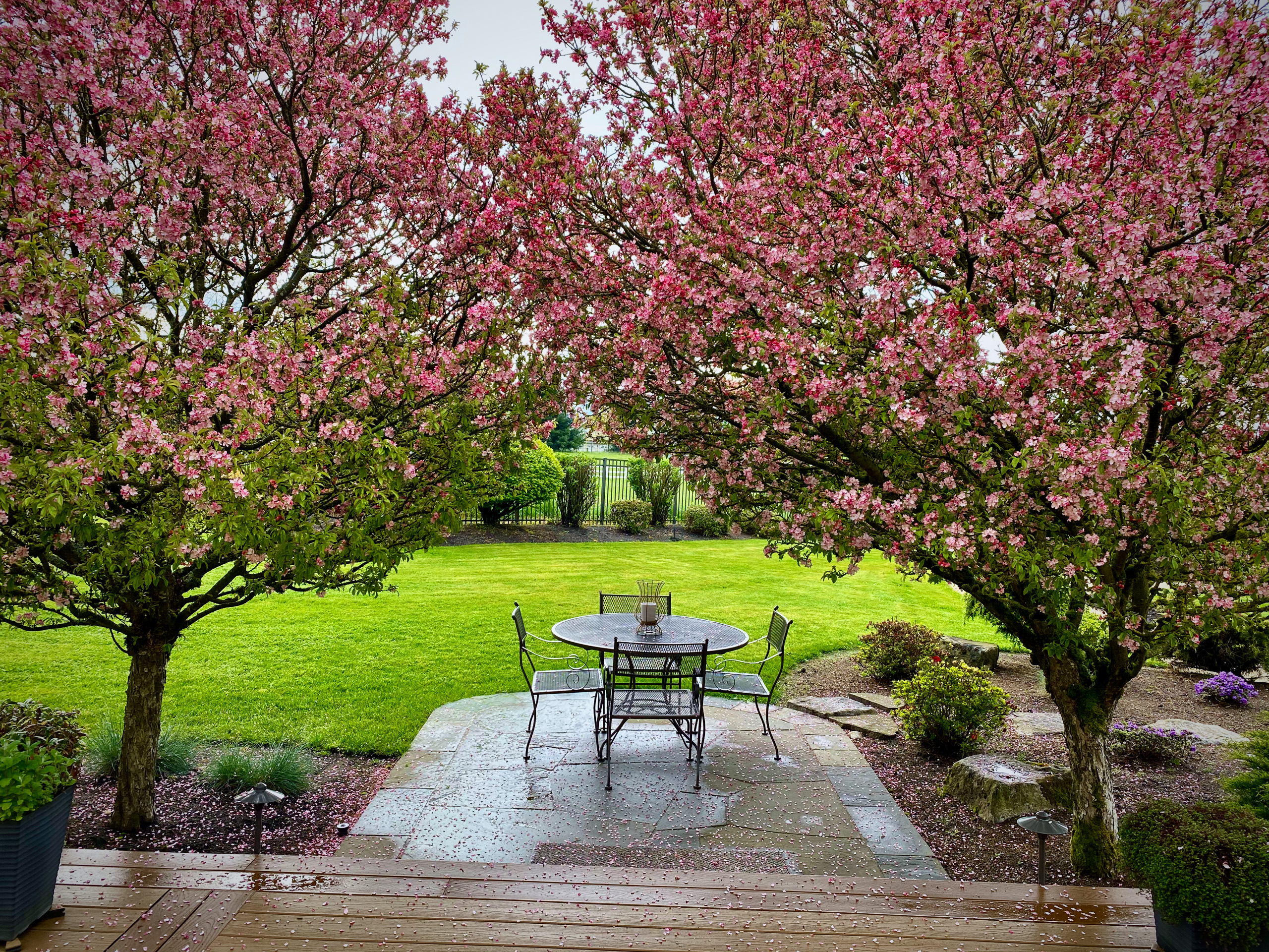 Photo of a Table with a View under Cherry Blossom Trees, Tour our Gardens