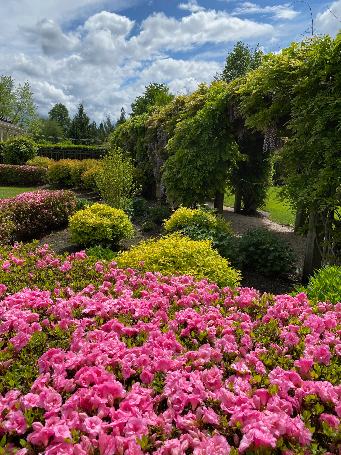 Photo of French Garden in Spring, Take Photos with Our Special Backdrop