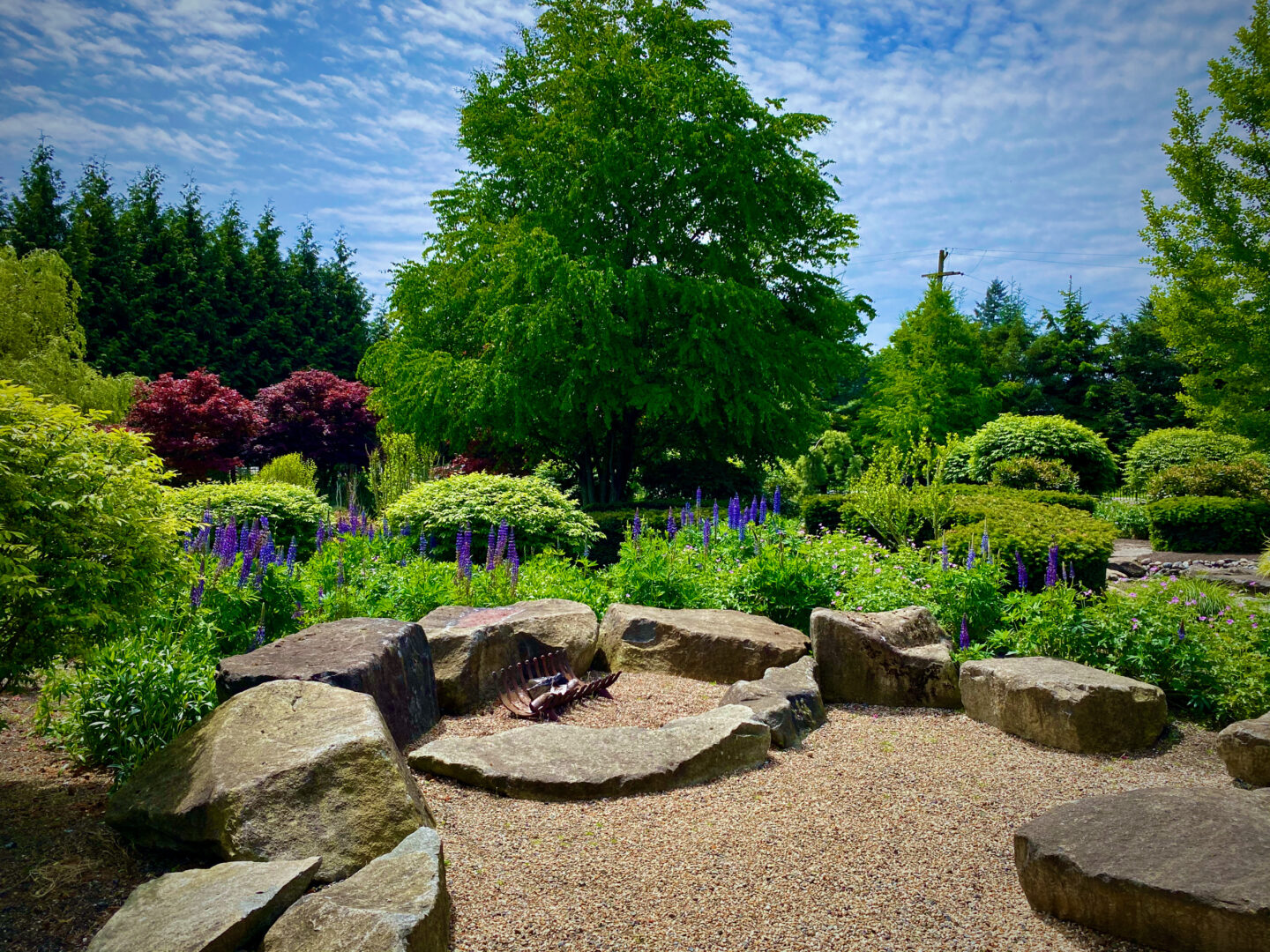 Photo of Fire Pit for Evening Fun