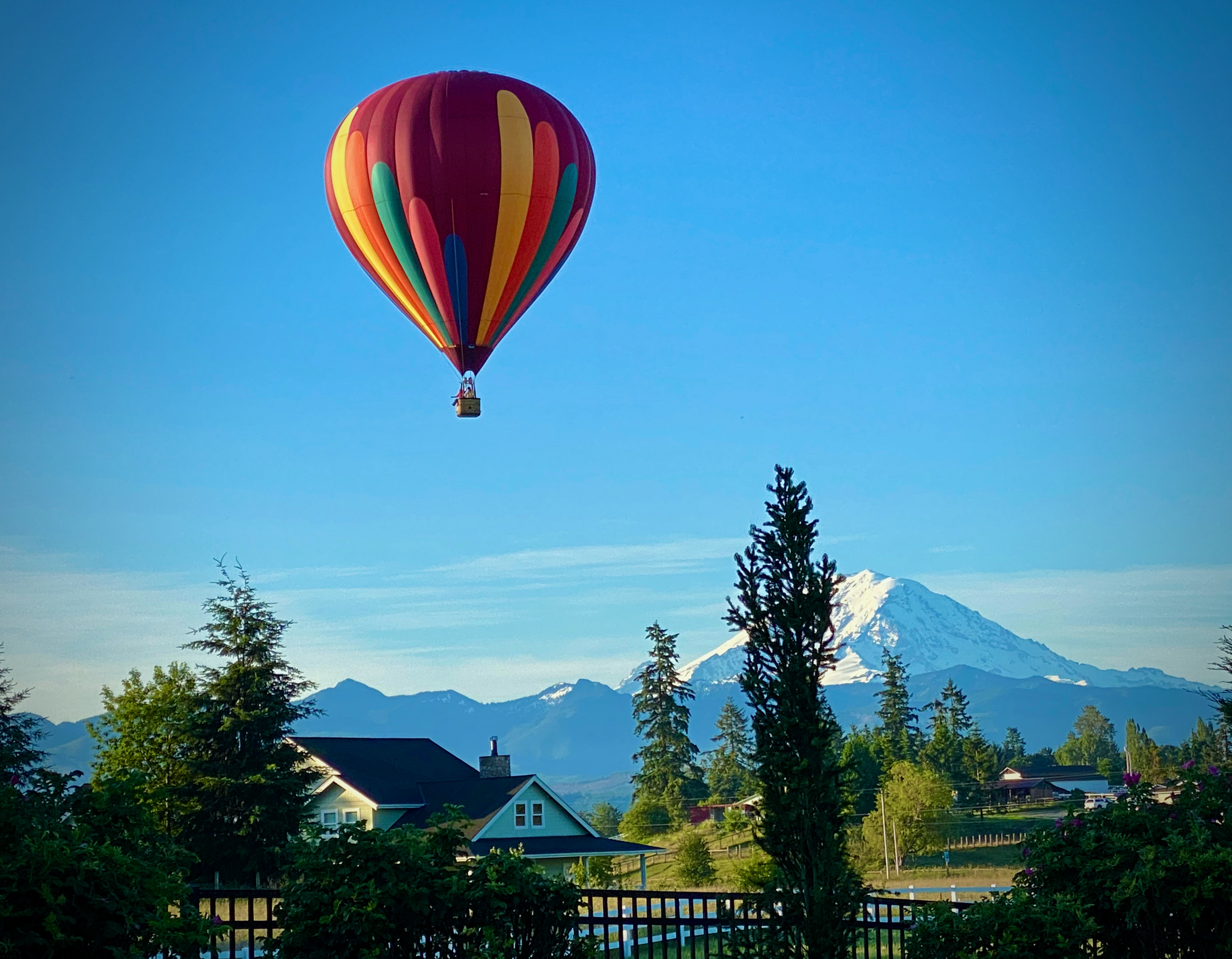 Photo of Unexpected Visitors in a Hot Air Balloon with Mt. Rainier in background, Visit our Gardens