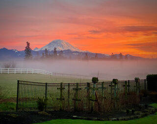 Photo of Mount Rainier at Sunrise from Rainier Gardens. A list of our policies.