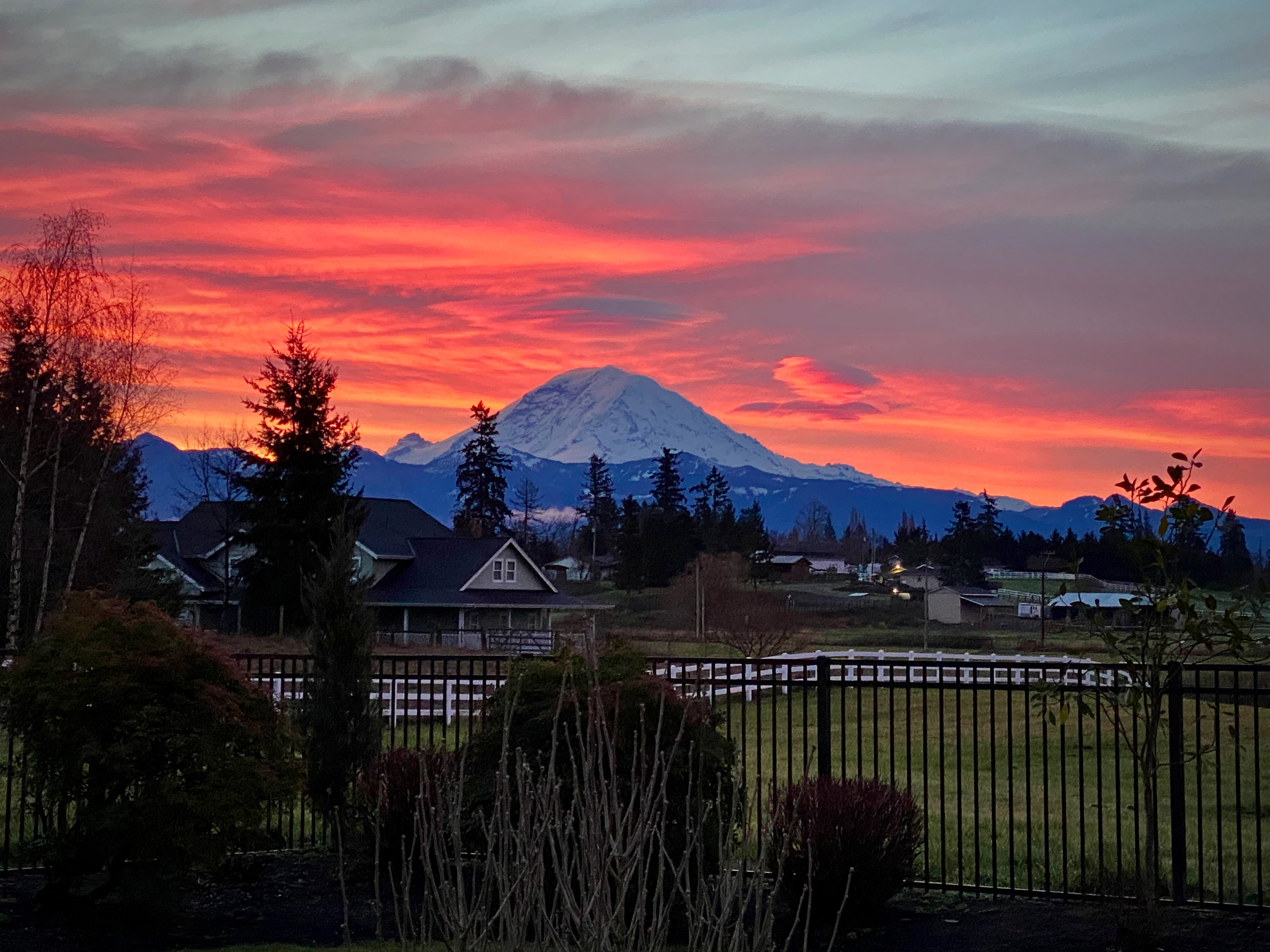 Photo of Mount Rainier at Sunrise, Schedule Your Event